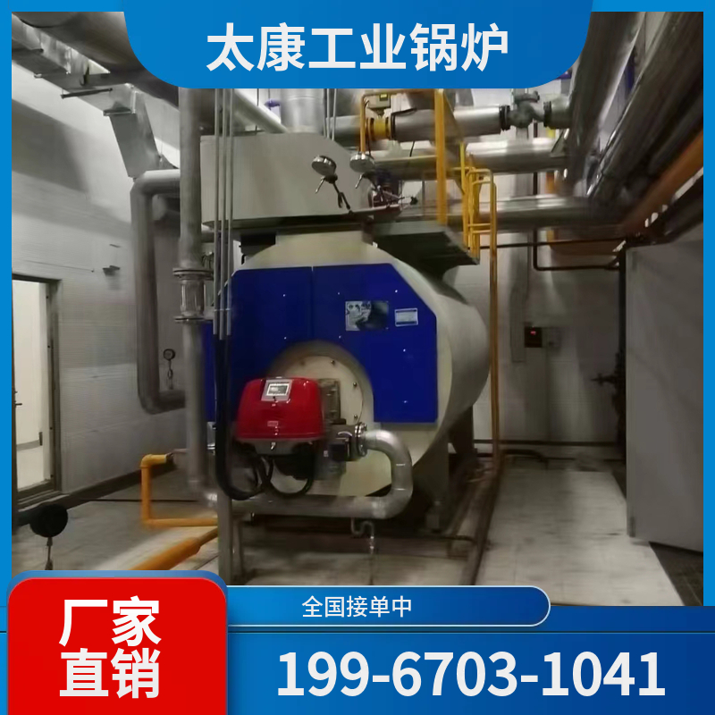 红河燃煤蒸汽锅炉